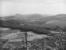 Bild: Blick von der Lausche nach Tschechien