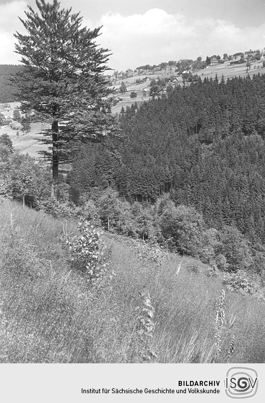 Blick zum Aschberg