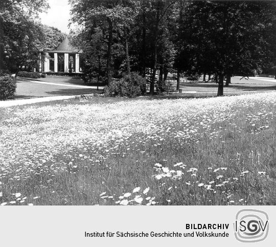 Im Kurpark von Bad Elster