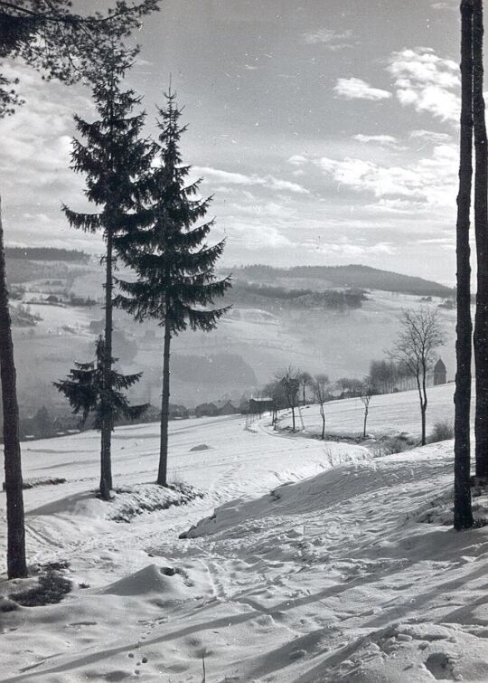 Blick auf das winterliche Brunndöbra