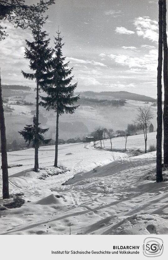 Blick auf das winterliche Brunndöbra