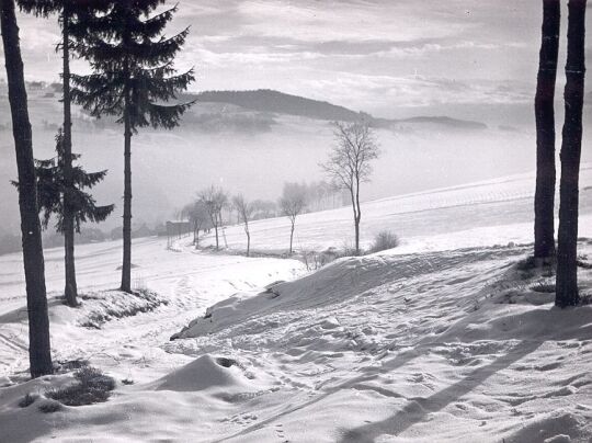 Blick auf das winterliche Brunndöbra