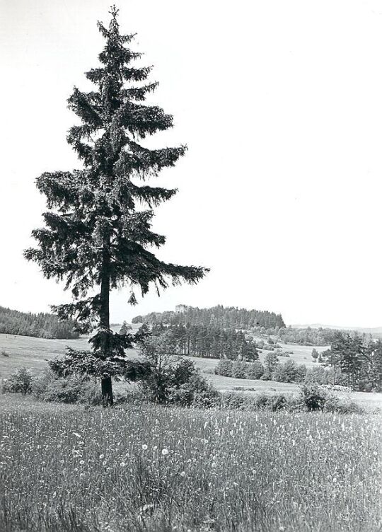 Blick zur Burgruine in Burgstein
