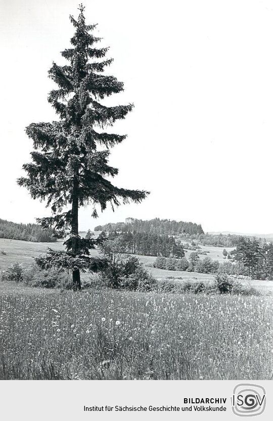 Blick zur Burgruine in Burgstein