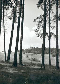 Bild: Blick zur Burgruine in Burgstein