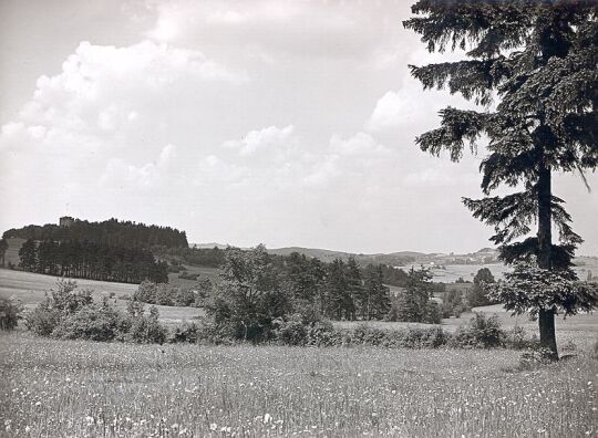 Blick zur Burgruine in Burgstein