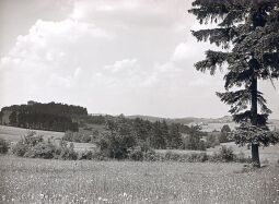 Bild: Blick zur Burgruine in Burgstein