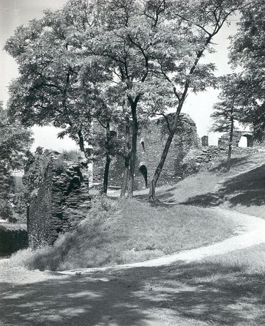 Zufahrtsweg zur Burgruine Elsterberg