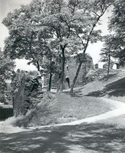 Bild: Zufahrtsweg zur Burgruine Elsterberg
