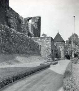 Bild: Die Burgruine Elsterberg