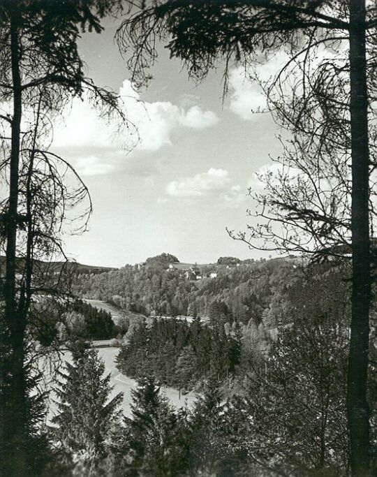 Das Tal der Weißen Elster bei Bartmühle