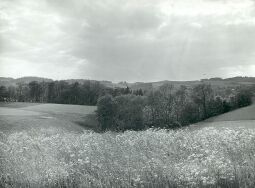 Bild: Landschaft bei Liebau