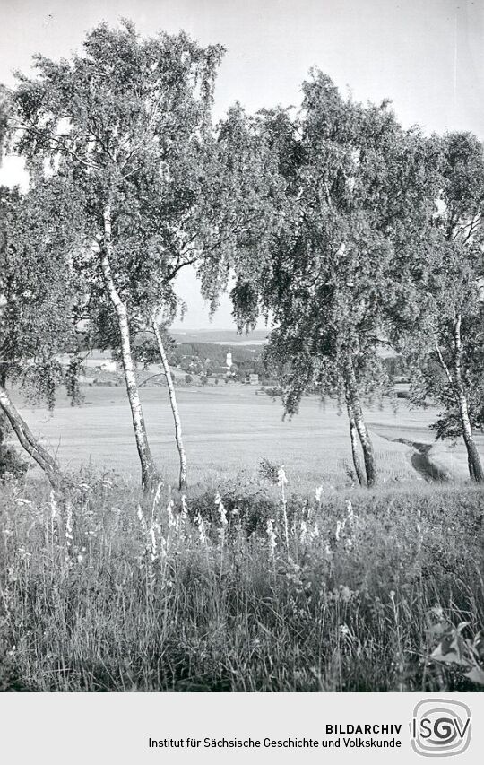 Landschaft bei Schwand
