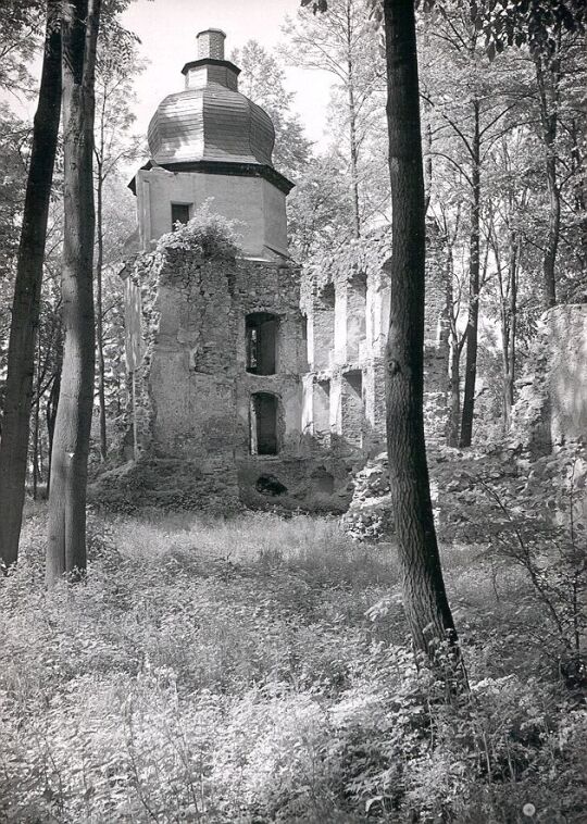 Schloßruine in Geilsdorf