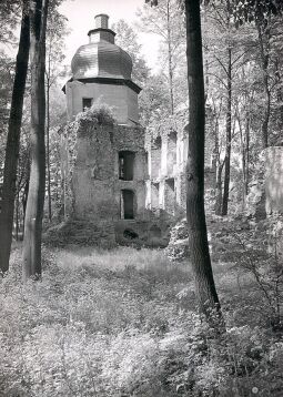 Bild: Schloßruine in Geilsdorf