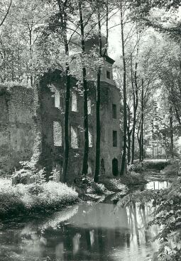 Bild: Schloßruine in Geilsdorf