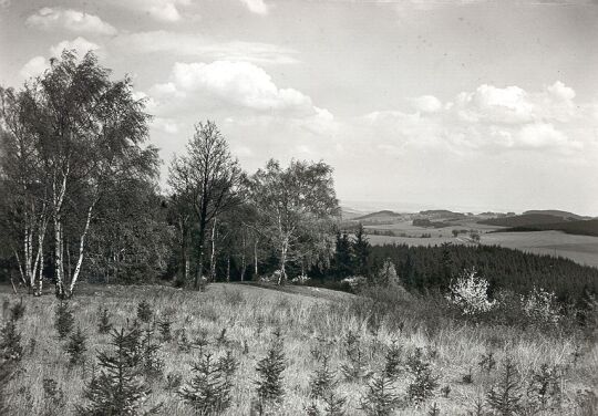 Landschaft bei Geilsdorf
