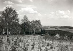 Bild: Landschaft bei Geilsdorf