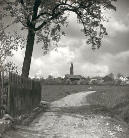 Bild: Blick zur Kirche in Großzöbern