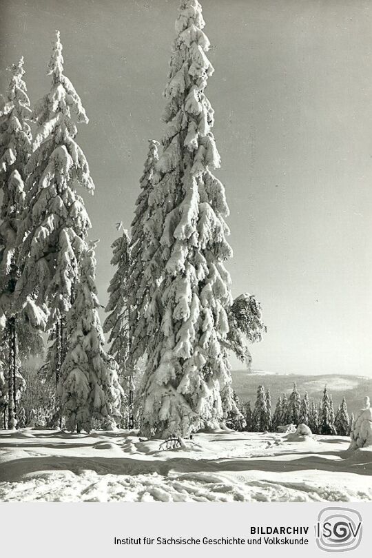 Winterlandschaft auf dem Hohen Brand bei Erlbach