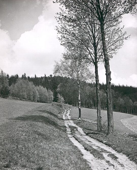 Blick zum Kapellenberg bei Erlbach