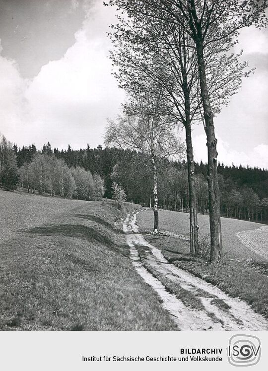 Blick zum Kapellenberg bei Erlbach