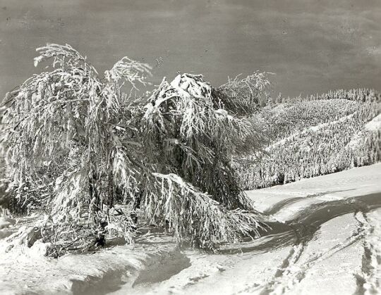 Winterlandschaft bei Erlbach