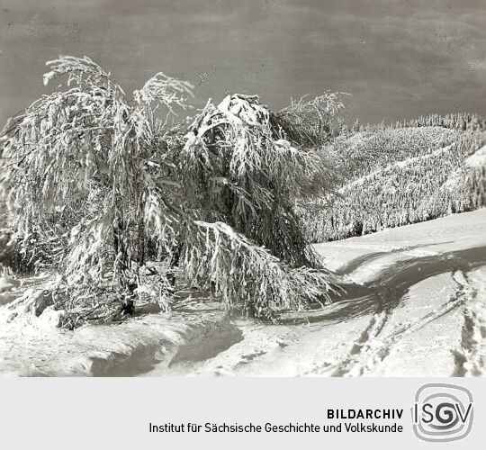 Winterlandschaft bei Erlbach