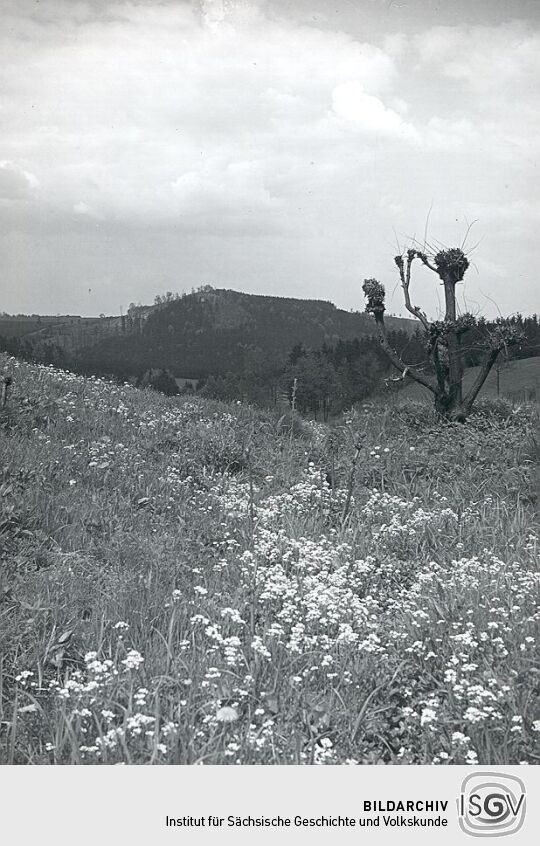 Blick in das Kemnitzbachtal bei Großzöbern