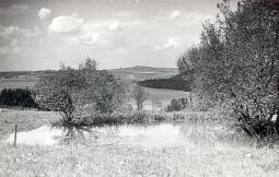 Bild: Landschaft bei Großzöbern