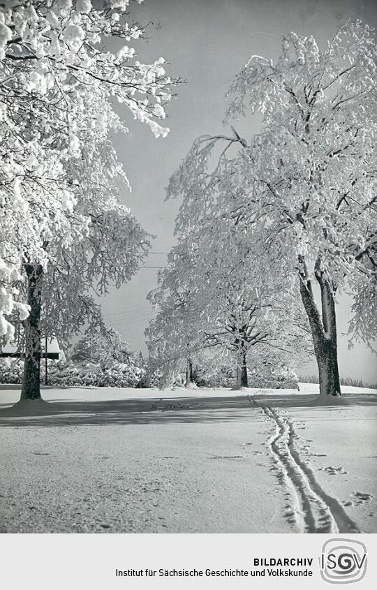 Winterlandschaft bei Schöneck