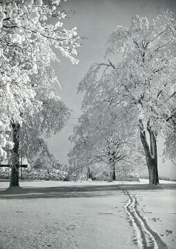 Bild: Winterlandschaft bei Schöneck