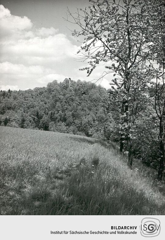 Burgruine bei Liebau