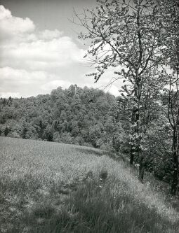 Bild: Burgruine bei Liebau