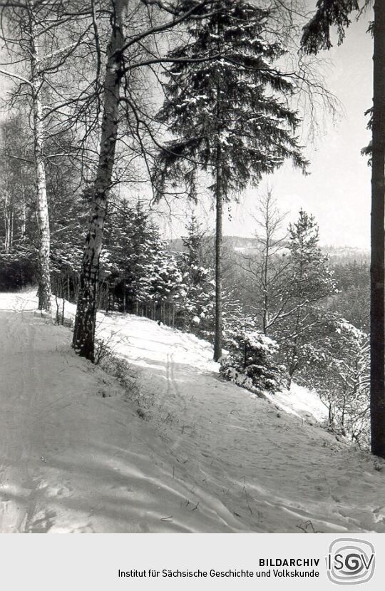 Winterliche Landschaft bei Jößnitz