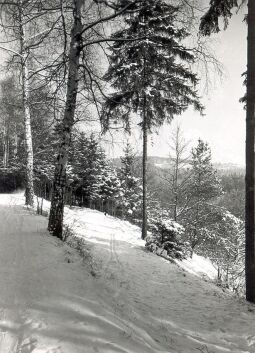 Bild: Winterliche Landschaft bei Jößnitz