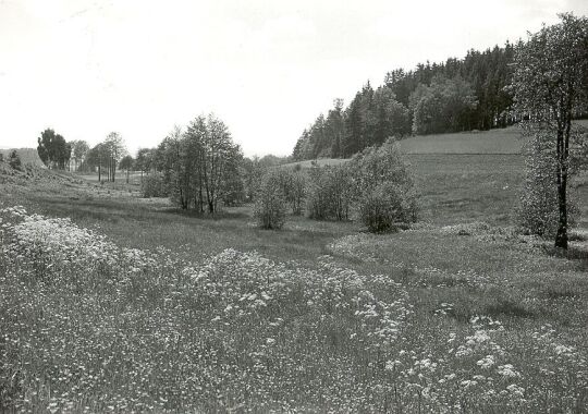Landschaft bei Oberlosa