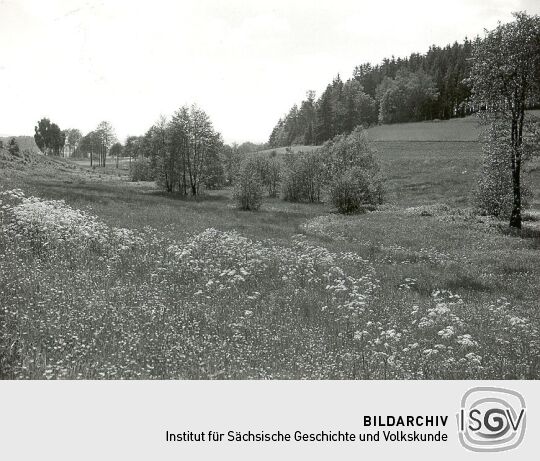 Landschaft bei Oberlosa