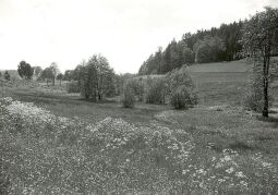Bild: Landschaft bei Oberlosa