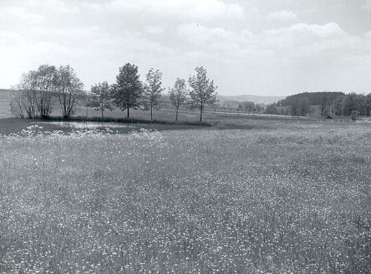 Landschaft bei Oberlosa