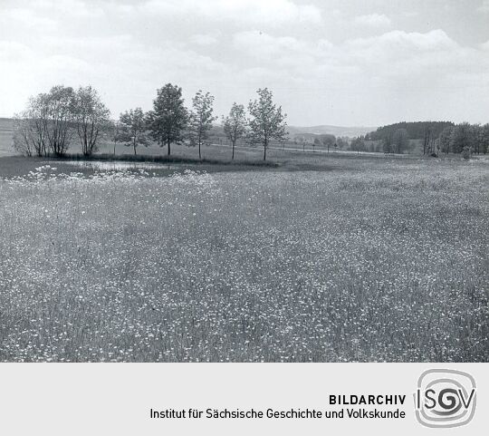 Landschaft bei Oberlosa