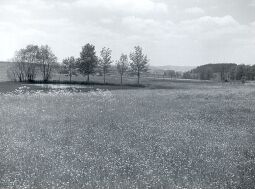 Bild: Landschaft bei Oberlosa