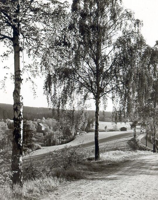 Landschaft bei Jößnitz