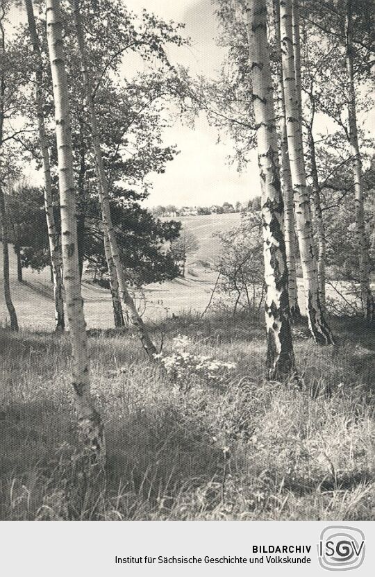 Landschaft bei Jocketa