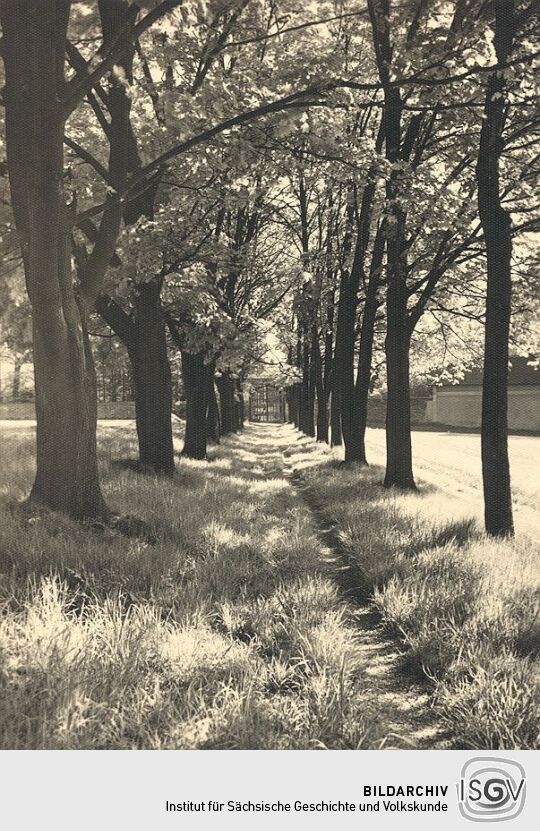 Allee am Schloß Pöhl