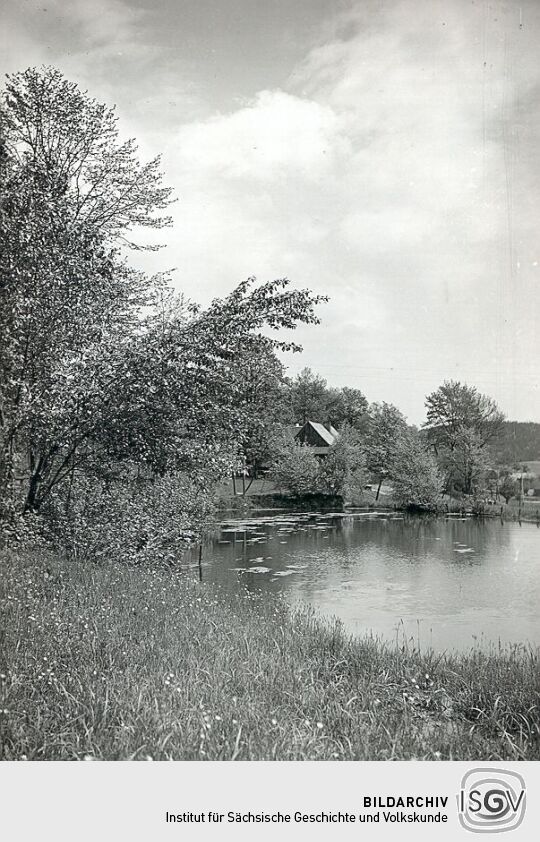 Der Dorfteich in Raun