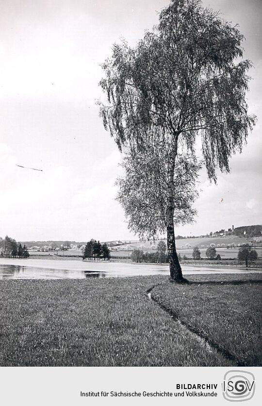 Blick auf Schönberg