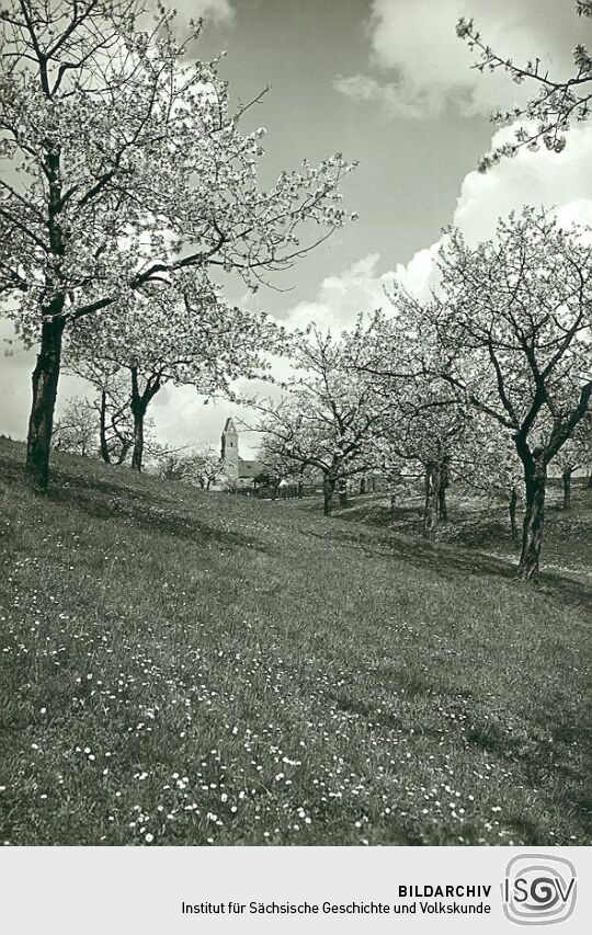 Blick auf Schönberg