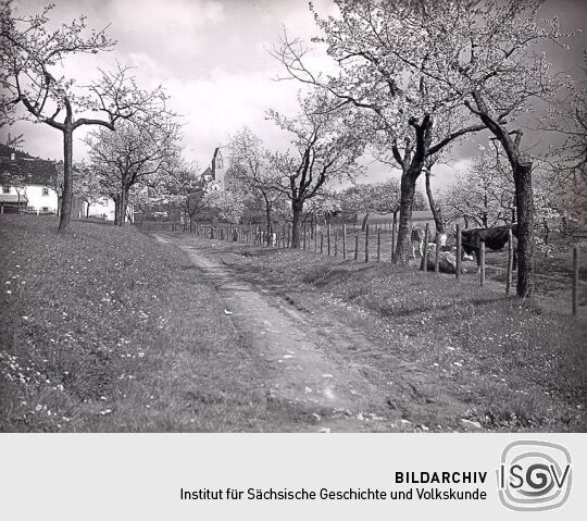 Blick auf Schönberg