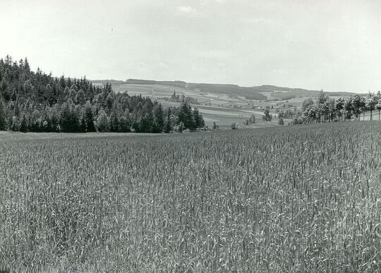 Blick auf Untertriebel